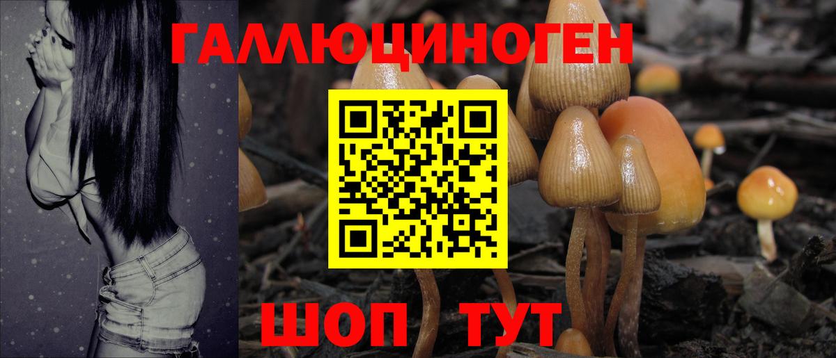 Псилоцибиновые грибы Magic Shrooms  Вход с VPN  Псилоцибиновые грибы Psilocybe  Алатырь 